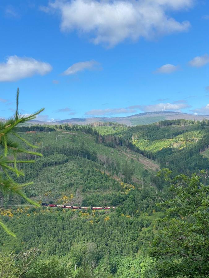Waldchalet Am Steinberg Fewo Wernigerode Buitenkant foto